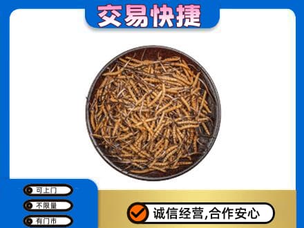 迪庆州维西高价回收散虫草
